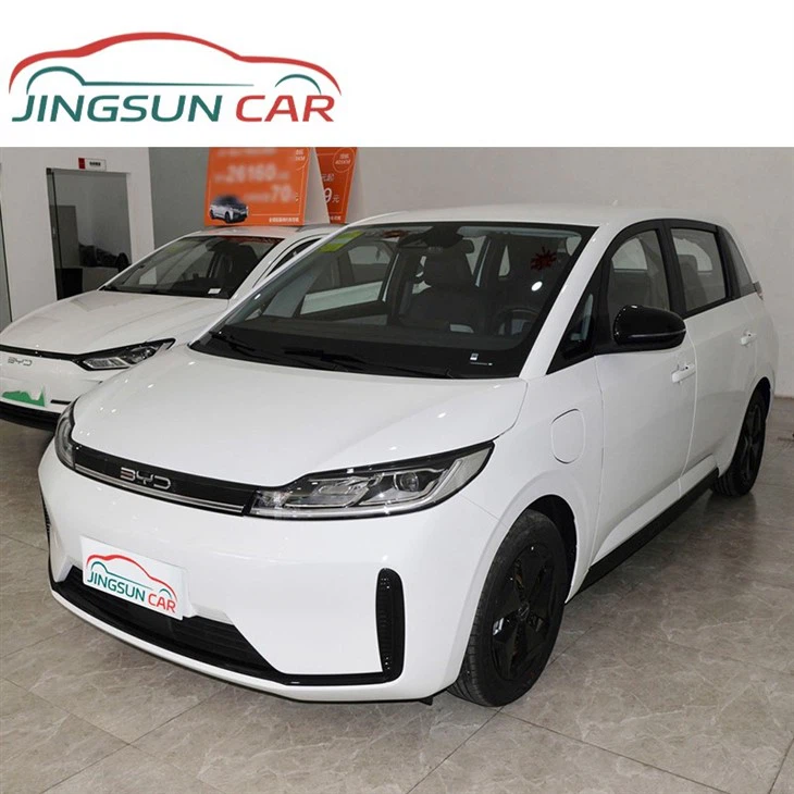 BYD D1